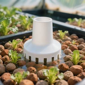 Cloche du siphon avec encoches découpées à la base