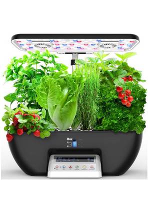 Kit Aquaponie pour Poisson Rouge